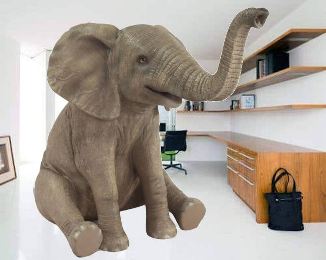 Elephant in the Home Office
